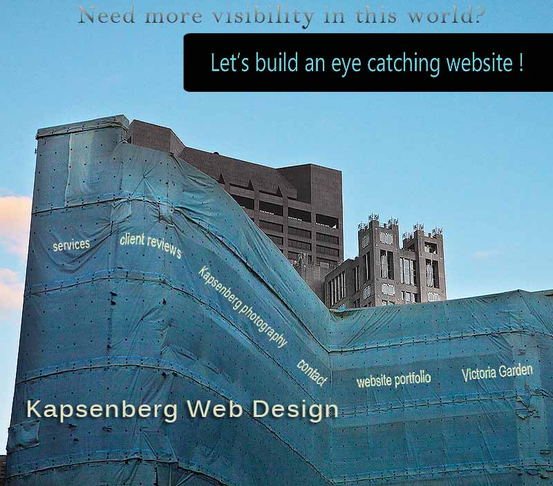 background image Kapsenberg Website Design